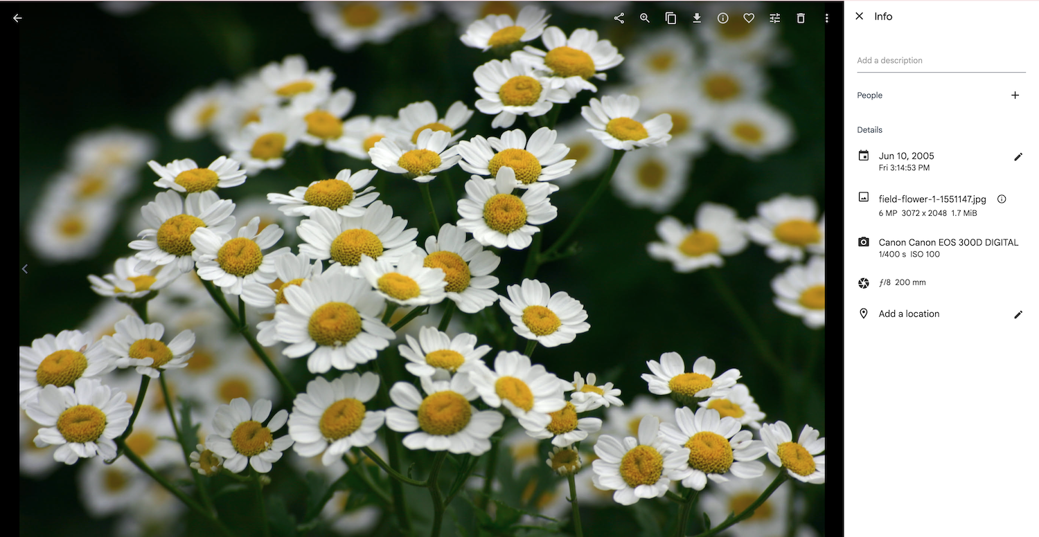 View photo details and metadata