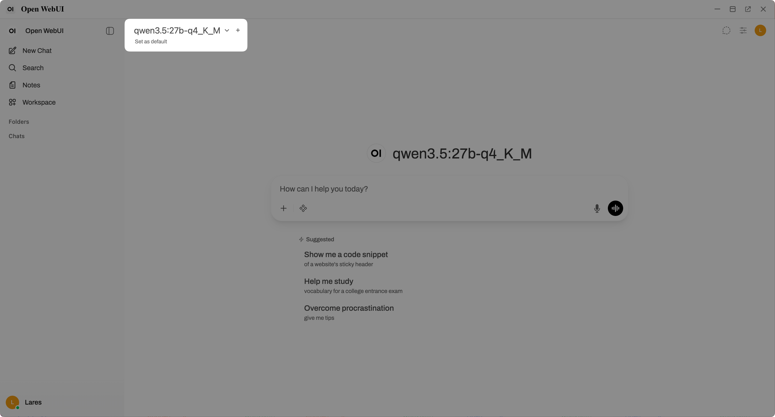 Chat with your local LLM